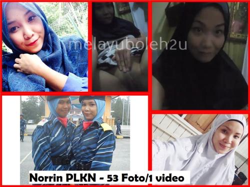 Norrin-PLKN